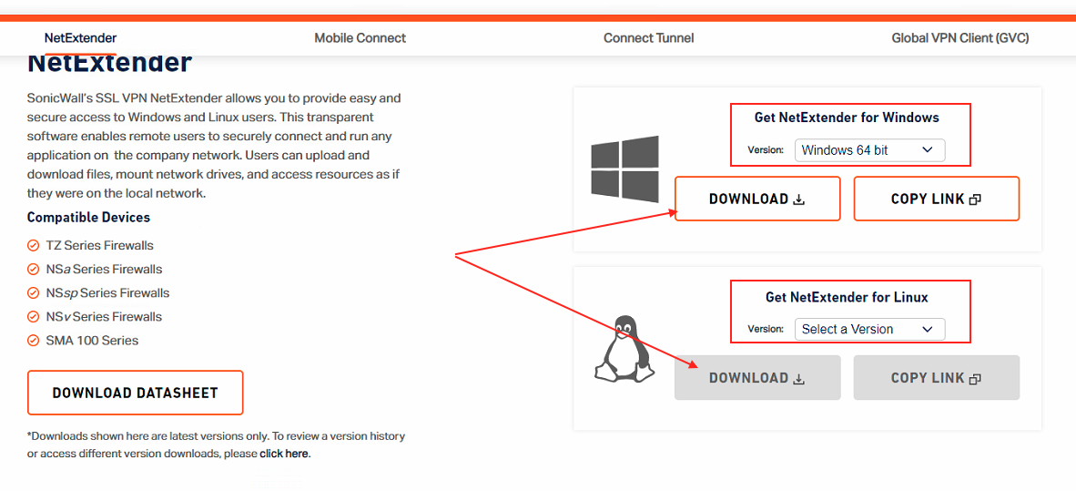 Download NetExtender.png